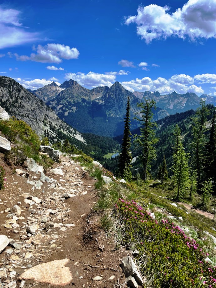 Alpine trail with wildflowers, North Cascades
