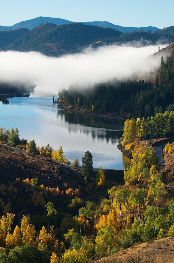 Misty Methow River with aspen color in autumn