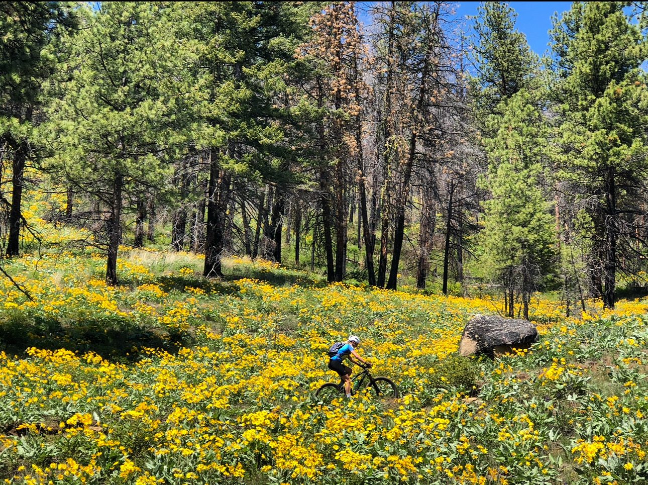 Mountain biking in the Methow Valley