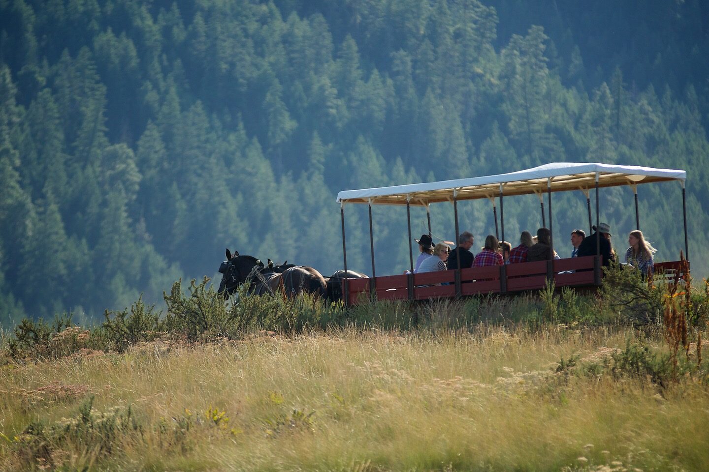 Sun Mountain lodge trail rides