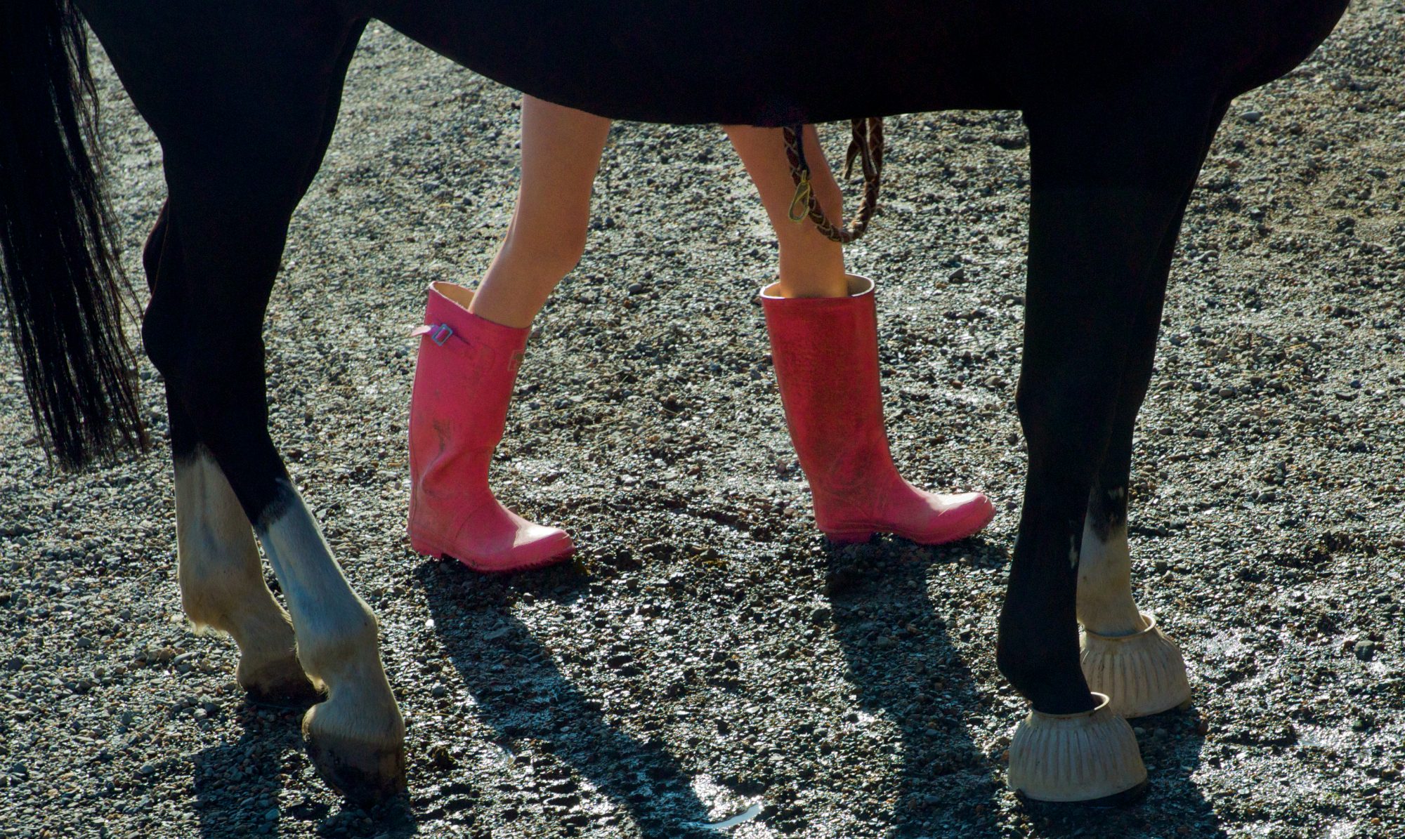 Horseback Riding