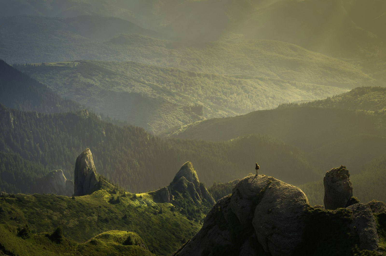 Pacific Northwest mountain valley landscape
