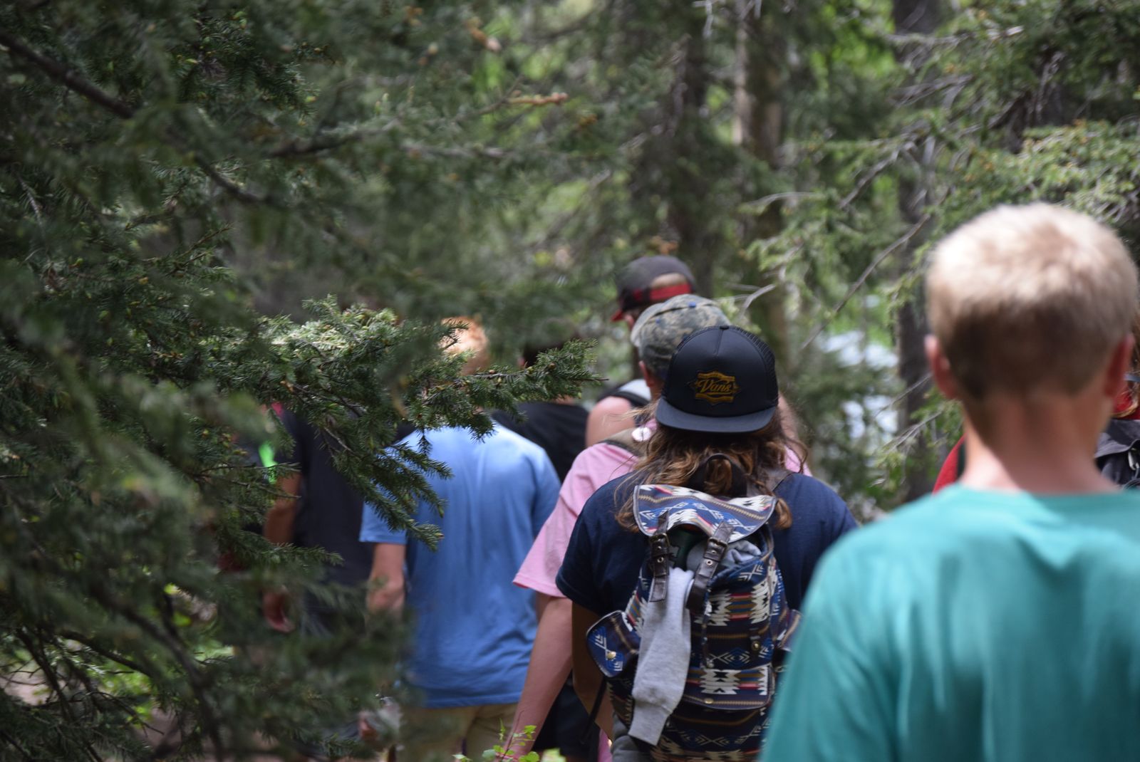 Children hiking through a green forest, small-town outdoor community feel